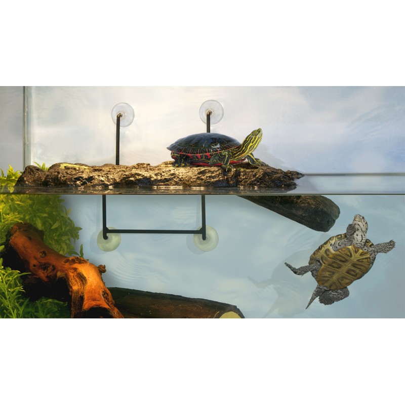 ÎLE AUX TORTUES