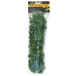 PLANTE PLASTIQUE MEXIQUE 2