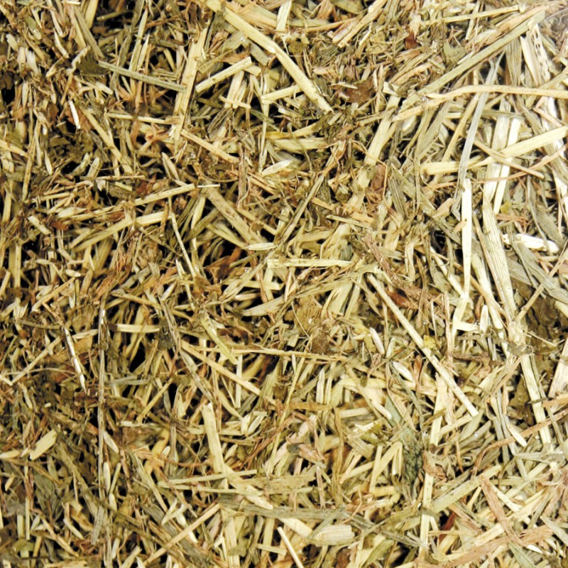 HAY