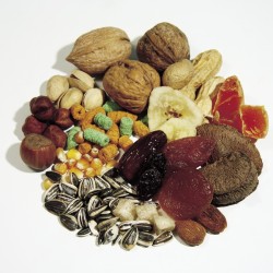 FOOD FOR PARROTS 15KG