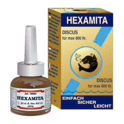 HEXAMITA