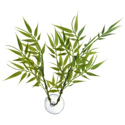 BAMBOO PLANT FOR BETTA