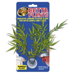 BETTA PLANT BAMBOO 2