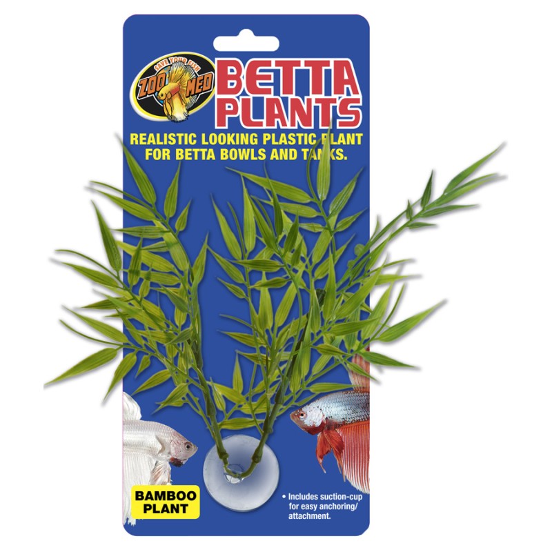 KAMPFFISCH PLANT BAMBOO