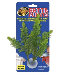 SAGE PLANT FOR BETTA 2