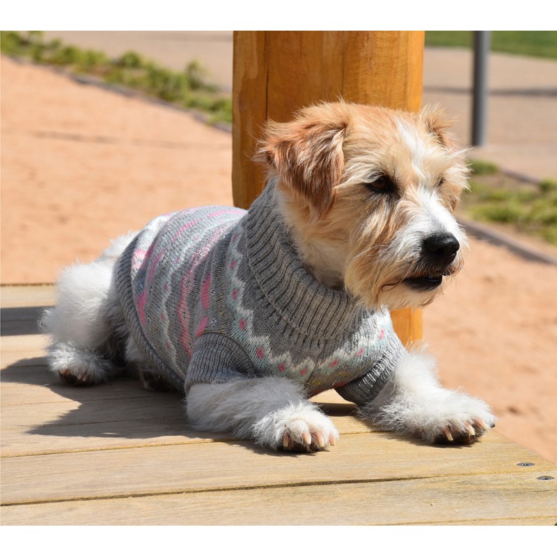 JERSEY BETTY