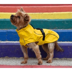 LONDON YELLOW RAINCOAT 2