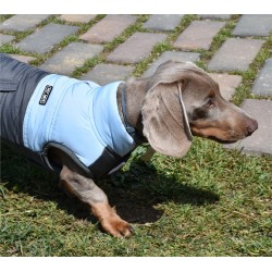 MONTECARLO BLUE JACKET 2