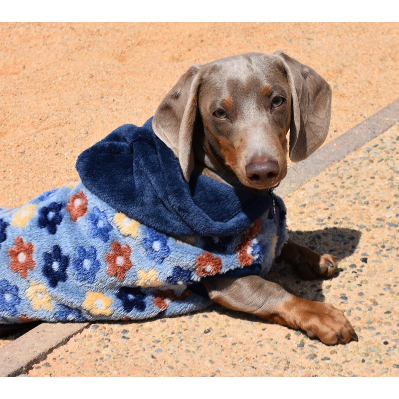 SPRING HOODIE