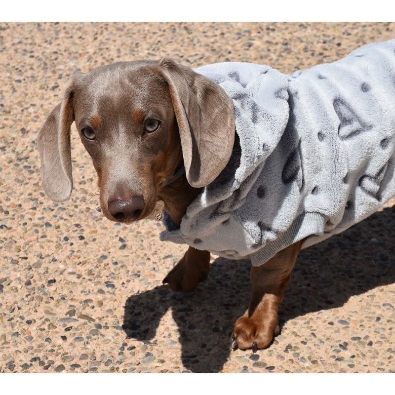 SUDADERA CON CAPUCHA AMOUR GRIS