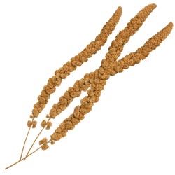 MILLET POUR OISEAUX 250 g 2