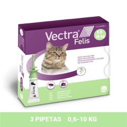 VECTRA GATO