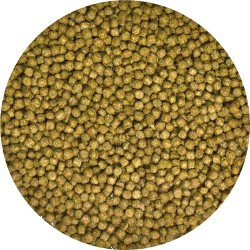 ALIMENTO PARA TARTARUGAS AQUÁTICAS MAINTENANCE 2