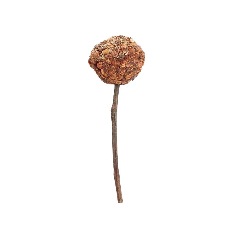 WOODCHUCK HORSETAIL AND RASPBERRY SNACK