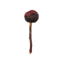 WOODCHUCK LOLLY GROSELLA, FRAMBUESA, MANZANA