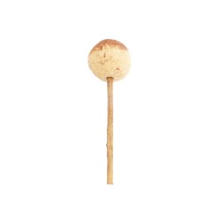 WOODCHUCK LOLLY COCO, CHOCOLATE, SAUCE