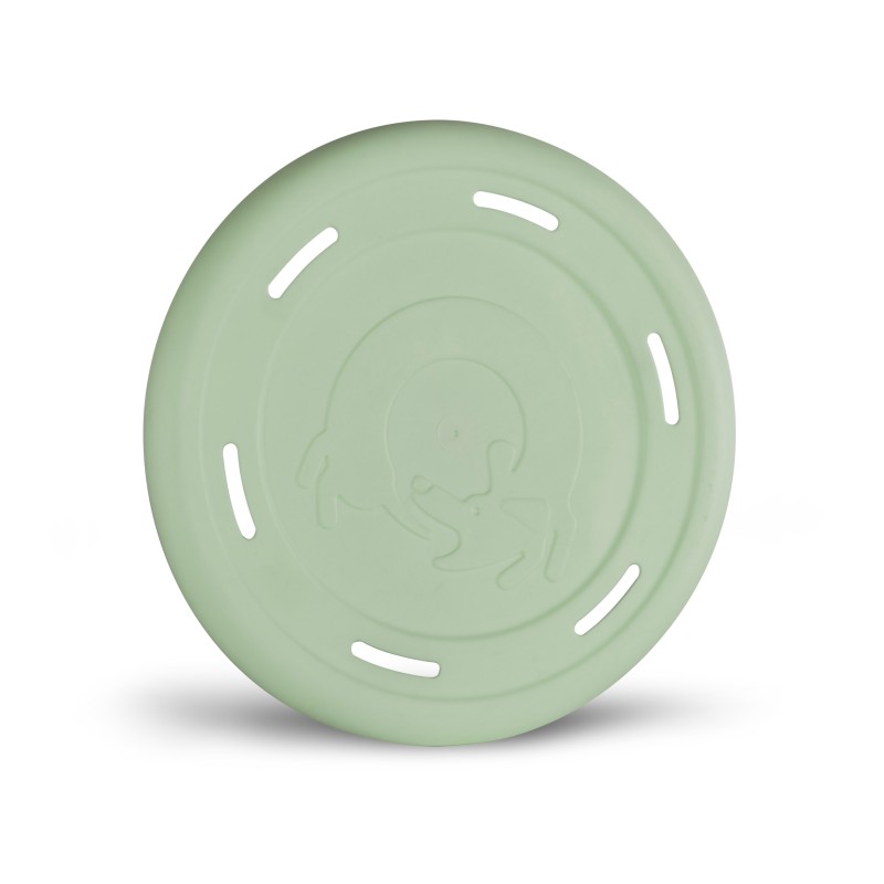 FRISBEE COLORES SURTIDOS 25CM