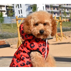 CHAQUETA CON CAPUCHA RED LEOPARD 2