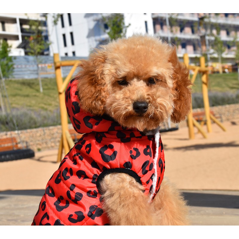 RED LEOPARD JACKET WITH HOOD