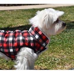 CHAQUETA PICNIC 2