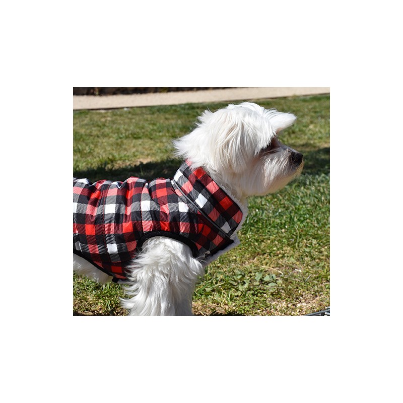 VESTE PICNIC