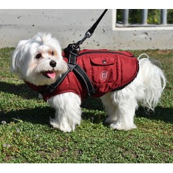 CHAQUETA CON ARNES ROJO 2