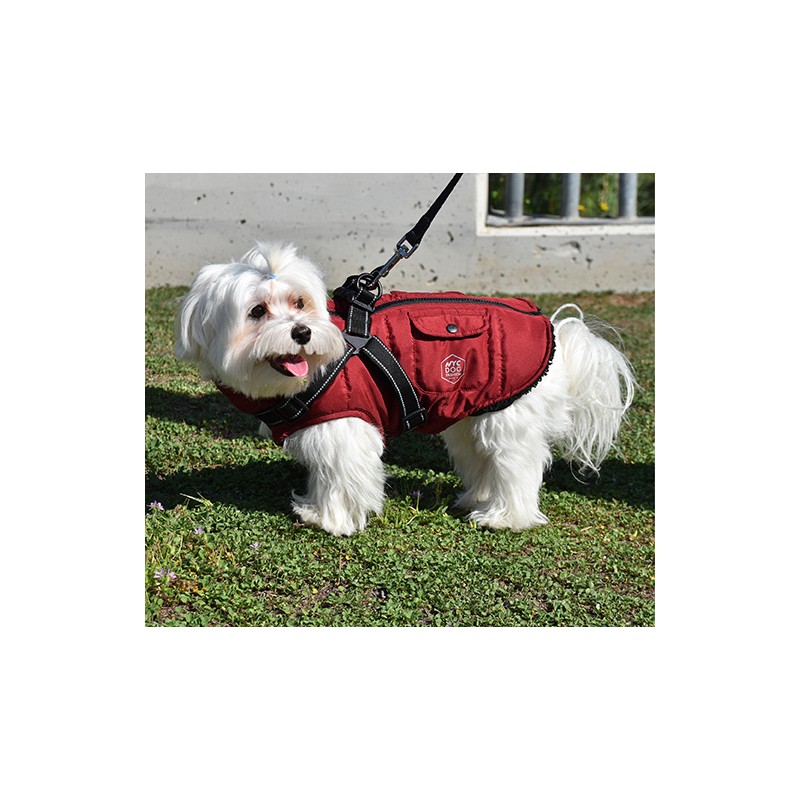 ROTE JACKE MIT GURTZEUG