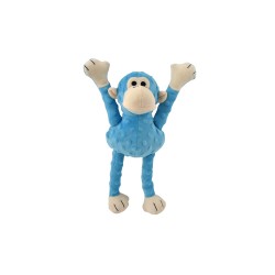 IGEL ROBERT 2