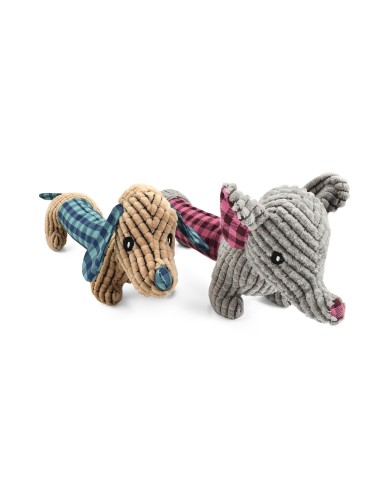ACORDEON ANIMALS