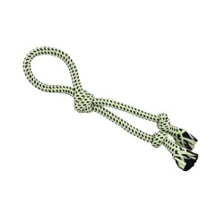 Corde dentaire phosphorescente pour arc 2