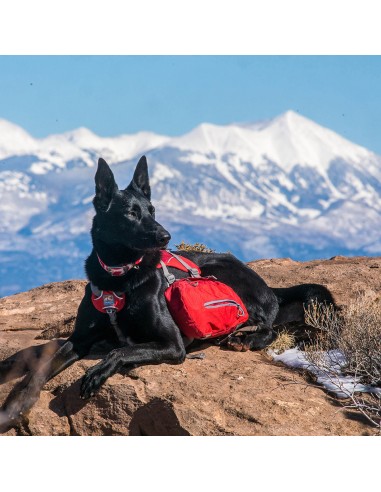 KURGO BAXTER BACKPACK