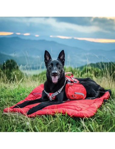 KURGO MOCHILA BAXTER
