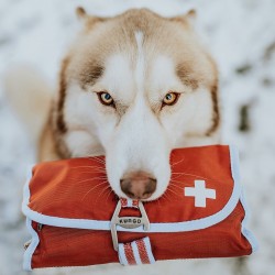 TROUSSE DE PREMIERS SECOURS KURGO 2