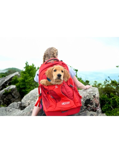 KURGO MOCHILA G TRAIN K9