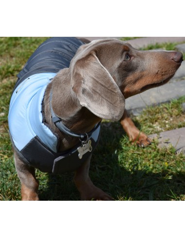 JACKE MONTECARLO BLAU