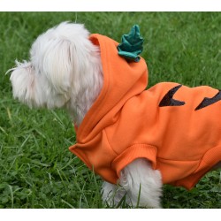 HALLOWEEN-KAPUZENPULLOVER 2