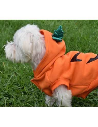 HALLOWEEN HOODIE